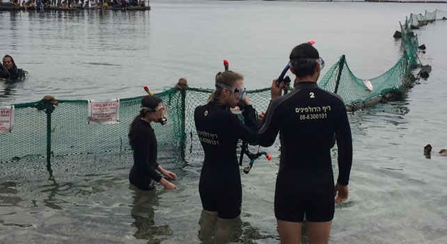 bar_bat_mitzvah_eilat_dolphin_reef