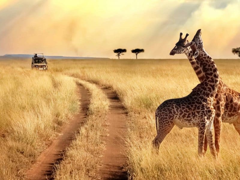 Book Family Vacations in Israel