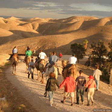 family tours of israel